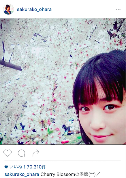 大原櫻子、“桜”とのショット公開に「最高のコラボだね」サムネイル画像