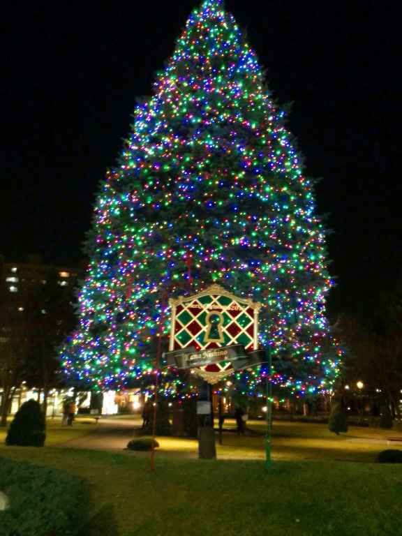 西野カナが、全国のクリスマスツリーとコラボレーションサムネイル画像