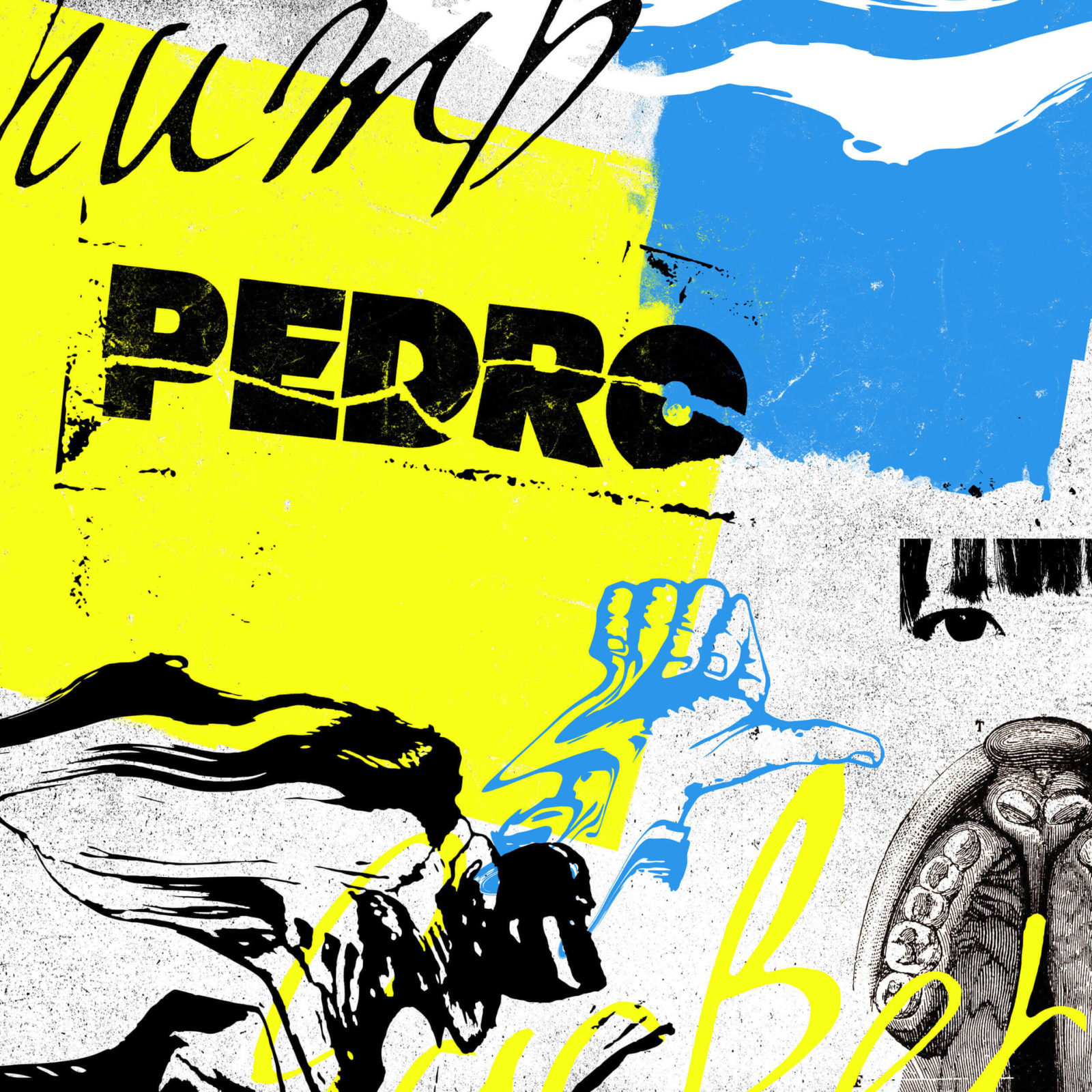 BiSHのアユニ・Dによるソロバンドプロジェクト「PEDRO」アルバム収録ドキュメンタリーのトレイラー映像を公開サムネイル画像!
