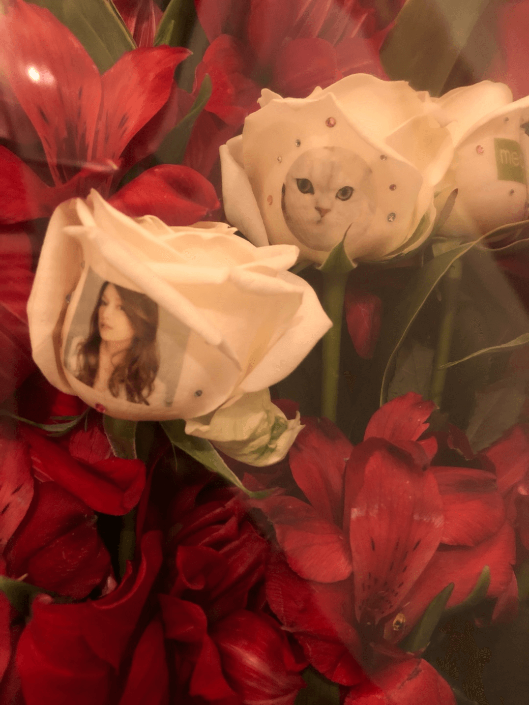 後藤真希、花束を抱えた満面の笑みショット公開で反響「お花より美人」「最高に可愛い」