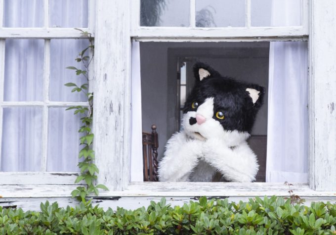 むぎ(猫)、2ndEP『窓辺の猫 e.p.』リリース＆自身が制作したMVも公開サムネイル画像!
